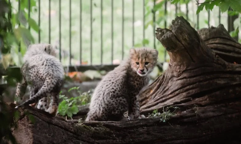 Trei ani de căsnicie și o hârtie care a distrus totul