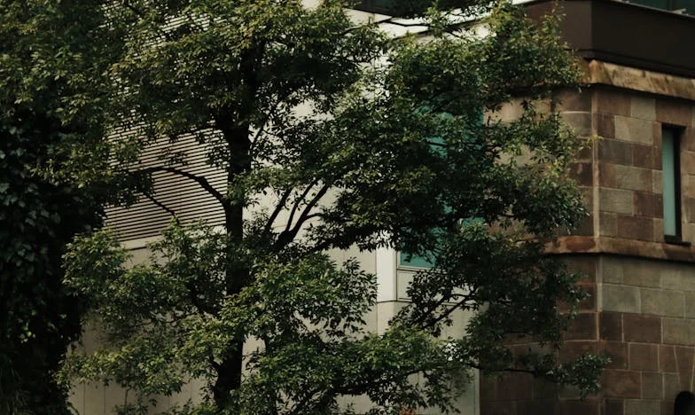 Trei ani de sacrificiu: Unde se termină dragostea și începe uituzarea?