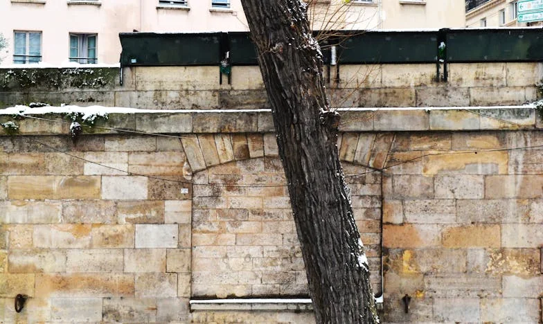 Ultima încercare a inimii: Dragoste la apusul vieții