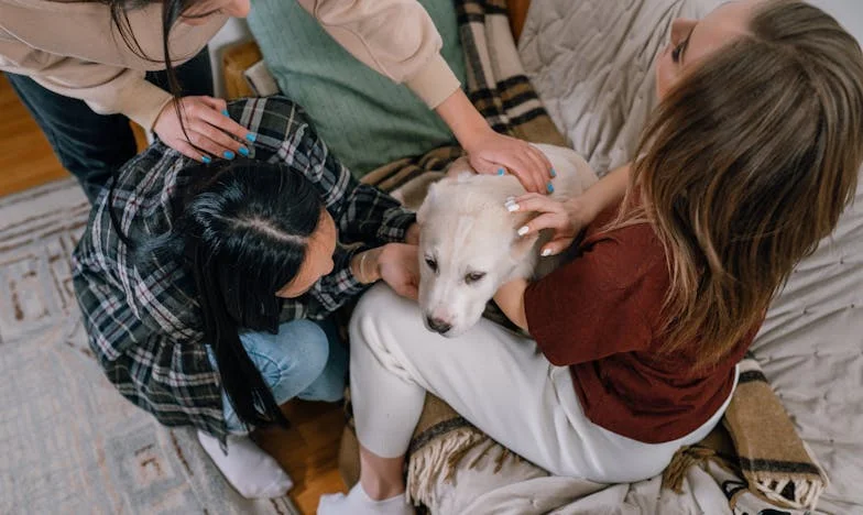 „Adevărul doare mai tare decât orice trădare” – Povestea mea despre încredere, minciună și curajul de a o lua de la capăt