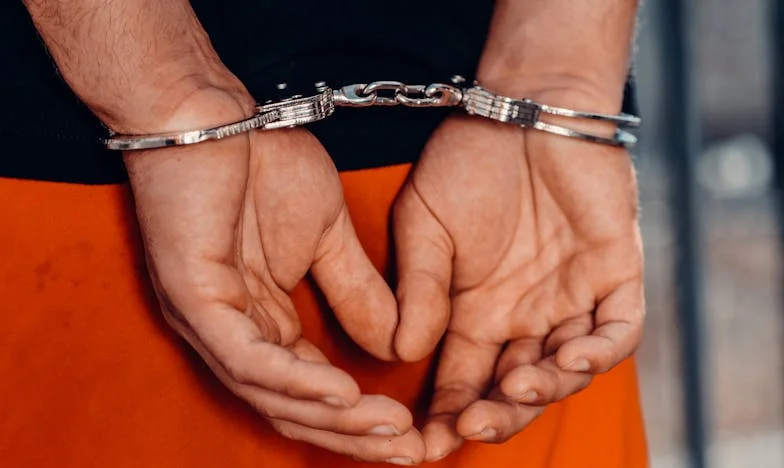 Casa Perfecțiunii, Inima Mea în Haos: Povestea Unei Fete Care A Învățat Să Trăiască Pentru Ea