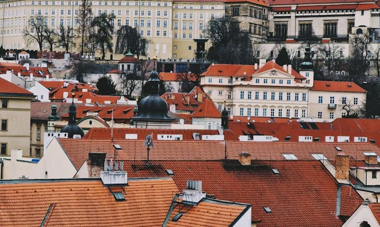 Cererile neașteptate ale cumnatului meu: Ce poate dori un om de afaceri de la mine?