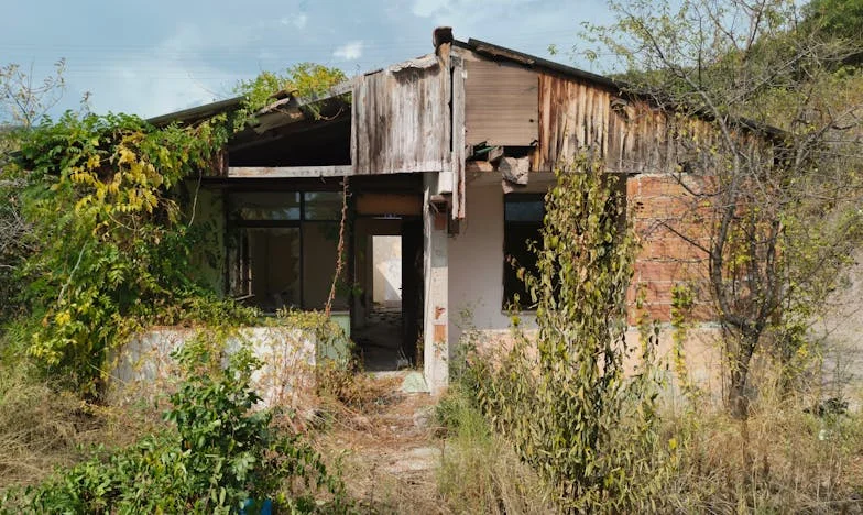 De ce nu m-a sunat nimeni? – Povestea unei zile de naștere cu gust amar