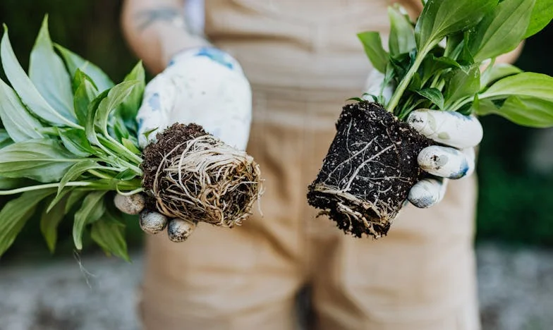 Inima lui Petru bate acum în pieptul Valentinei: Povestea unei mame care a transformat durerea în speranță