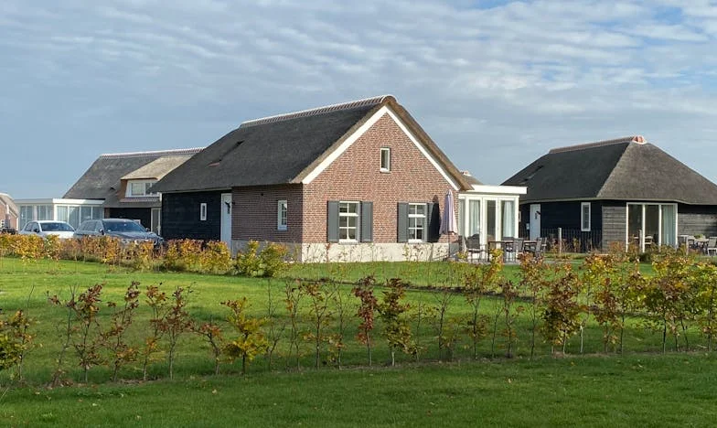 La șaizeci de ani, am învățat din nou să iubesc – Povestea mea despre curaj, familie și o dragoste neașteptată