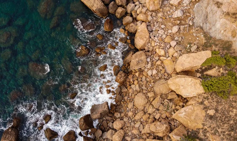 „Nu ai pic de conștiință?” – Secretele și trădările unei familii românești în umbra unei moșteniri