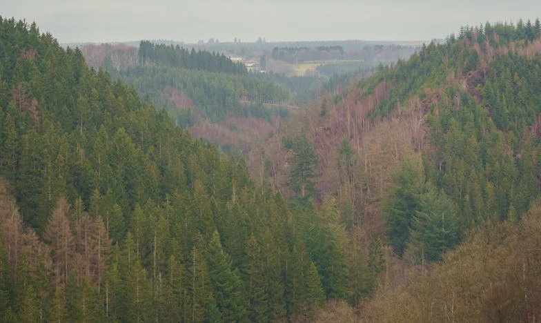 „Vreau la bunica!” – O poveste despre dragoste, răni vechi și granițele dintre generații