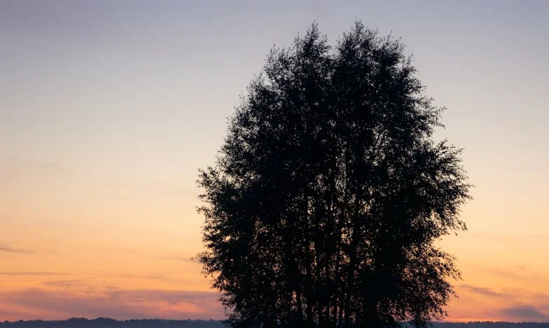 Am dat apartamentul fiicei noastre și acum ne simțim străini în propria familie