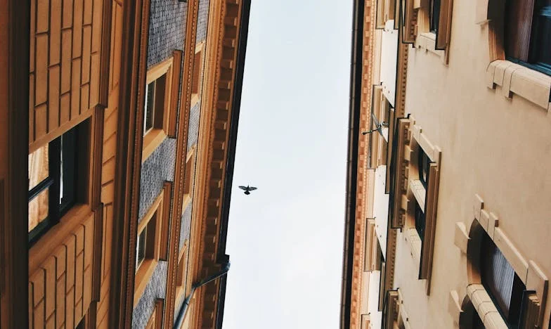 De ce ar trebui să-mi vând apartamentul ca să fie fericită familia soțului meu? – Lupta mea pentru propriul cămin