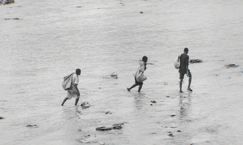 Din cenușa trecutului: Povestea Anei din Brăila