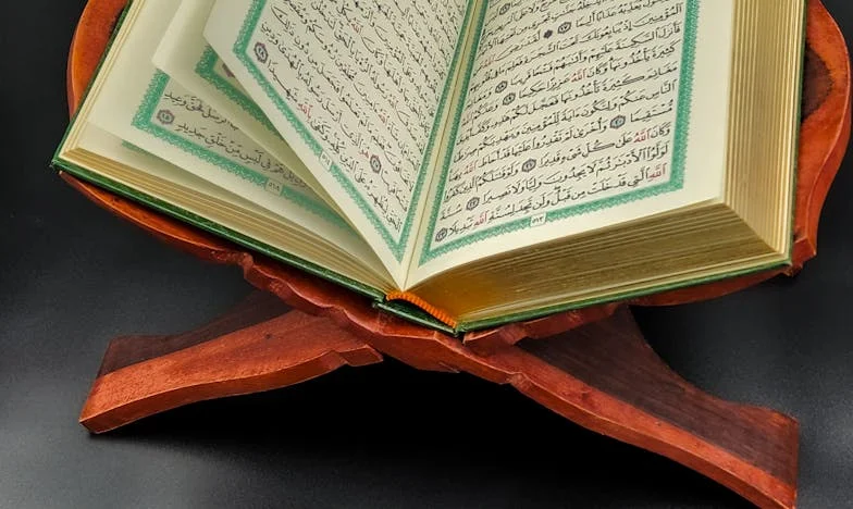 Fiica mea ne-a împins de pe stâncă… Când zăceam în sânge, soțul meu a șoptit: „Nu te mișca, Maria. Prefă-te că ești moartă” — iar ce a urmat mi-a înghețat sângele în vine