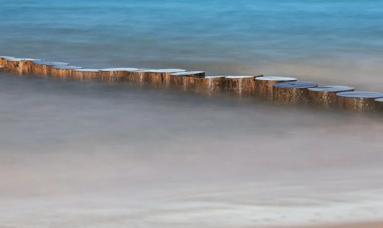 Între două familii: Povestea unei alegeri imposibile