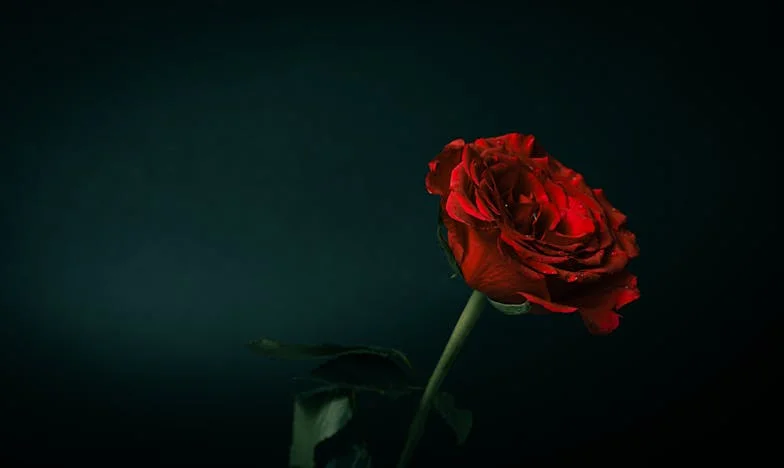 Între două lumi: Povestea mea despre familie, acceptare și luptă pentru armonie