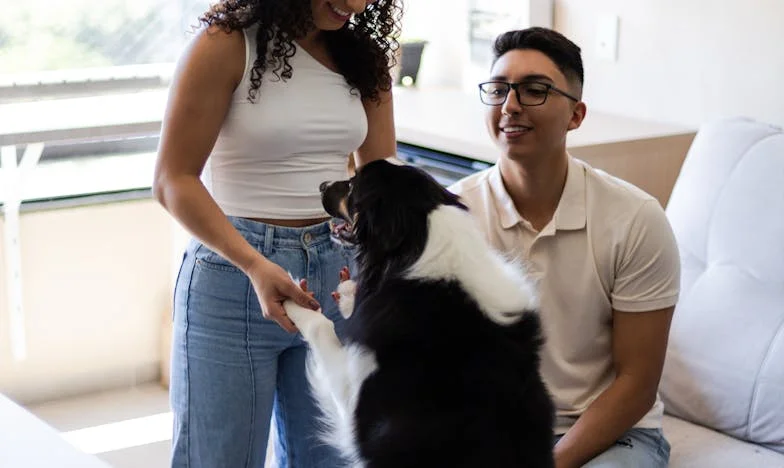 Scrisoarea din valiză: Povestea Elenei și a trădării care i-a schimbat viața