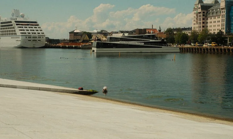 Soacra mea m-a dat afară de la cina de familie… Nu știa că restaurantul era al meu! Povestea unei umilințe care a schimbat totul