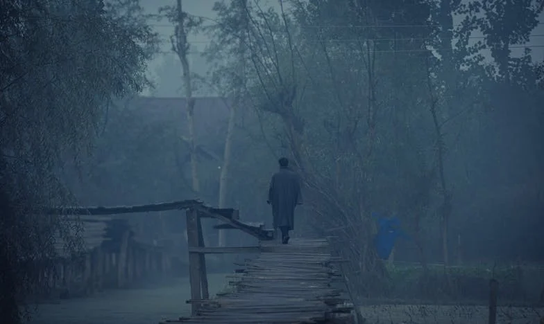 Anii înstrăinării: Am cumpărat trei case pentru copiii mei, dar niciunul nu mă primește