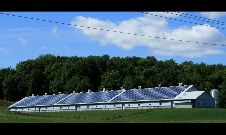 „Ar trebui să-l iert pe Radu, care s-a întors cu capul plecat?”: Povestea unei iubiri trădate și a unei alegeri imposibile