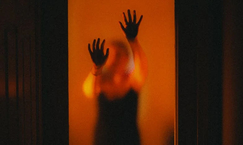 Bătălia pentru nepoata mea: Adevărul din spatele ușilor închise