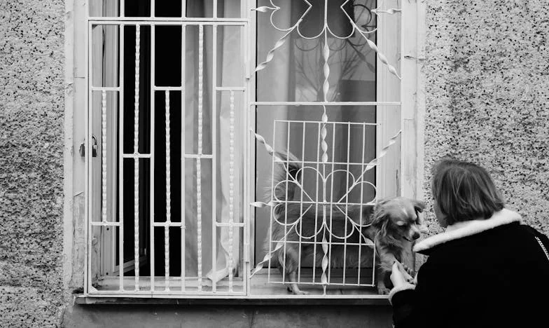 Bunica mea, apartamentul și decizia care ne-a schimbat familia