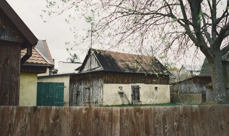 Când fosta mea soacră a decis să-mi distrugă viața – Povestea mea despre trădare, luptă și un nou început