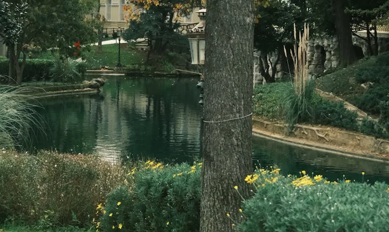 Casa de la răscruce: Între trecut și viitor