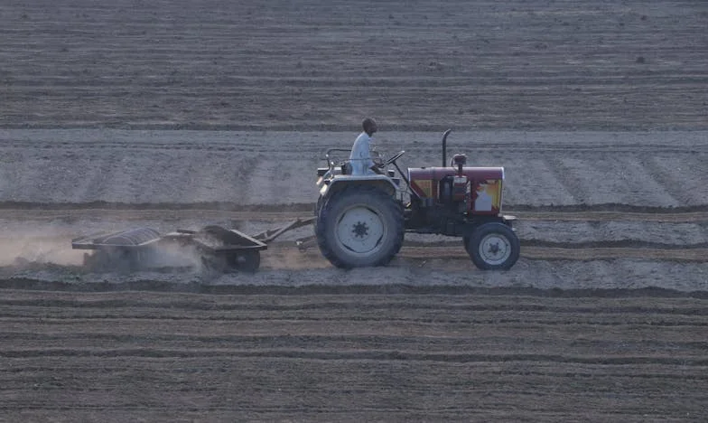 Doar un castron de ciorbă: Ultima mea dorință