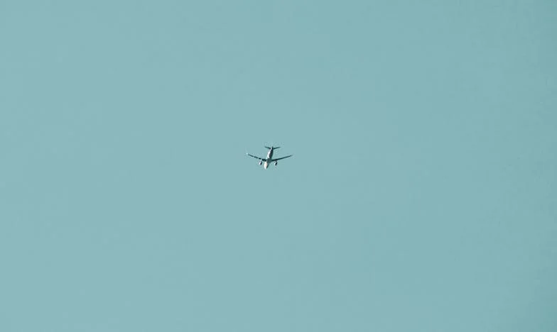 Între sânge și inimă: lupta mea pentru a fi eu însămi