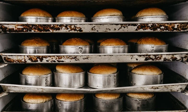 Nu sunt sluga nimănui: ziua în care am spus „ajunge!”