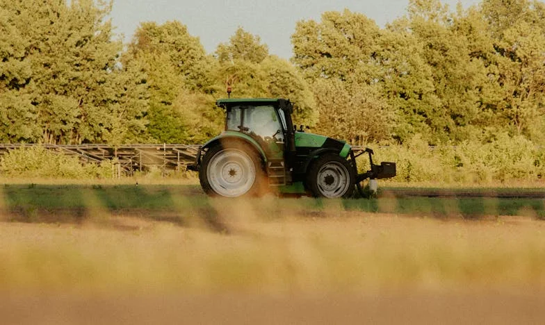 Secretul din spatele cadoului promis