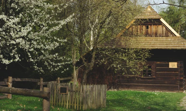 Soțul meu a decis că bunica lui trebuie să se mute la noi: când am obiectat, și-a făcut bagajele și a spus că divorțăm