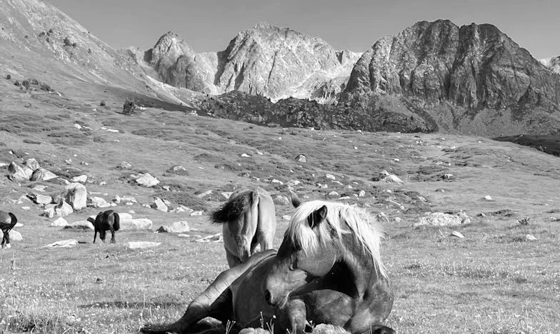 Soțul meu m-a pus să aleg: căsnicia noastră sau copilul nostru – Povestea unei alegeri care mi-a schimbat viața