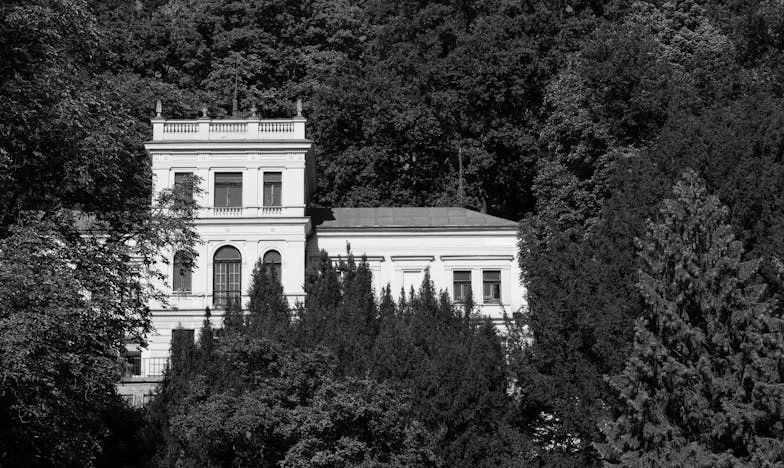 Când l-am adus pe Radu acasă: O mamă între mândrie și dezamăgire