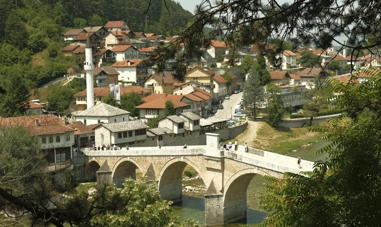 „Vin musafirii!” – Întoarcerea în satul copilăriei și fața nevăzută a celor dragi