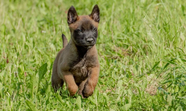 Gorka istina o porodici: Kako je šesto dete moje sestre promenilo sve