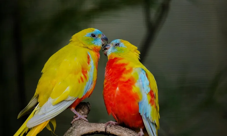 Kada bolest pokuca na vrata: Ćerkin izbor između ljubavi i granica