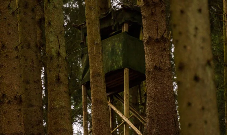 Kada se uloge zamene: Moj porodiljski odsustvo koje je promenilo sve