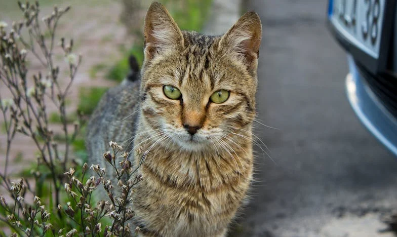 Мама, потпиши за мене – Исповест мајке која је морала да изабере између срца и разума