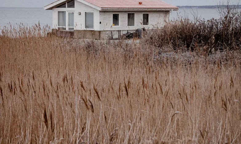 Sve je otišlo njoj – Priča o porodičnoj nepravdi