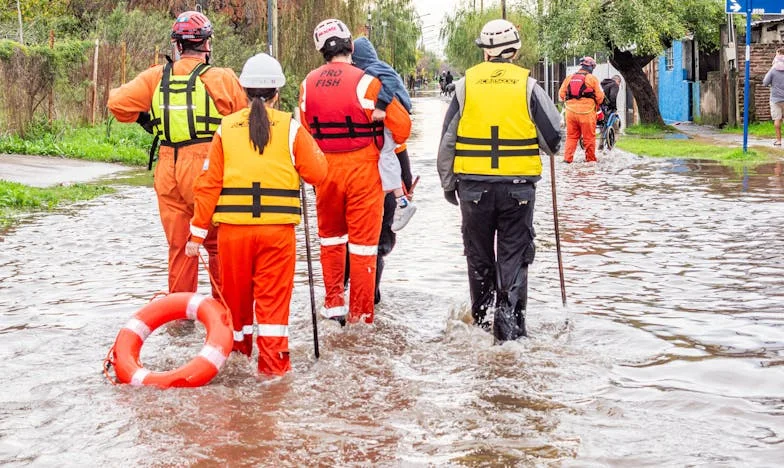 Tajna koja je razdvojila moju porodicu: Istina koja je uništila sve što sam znao