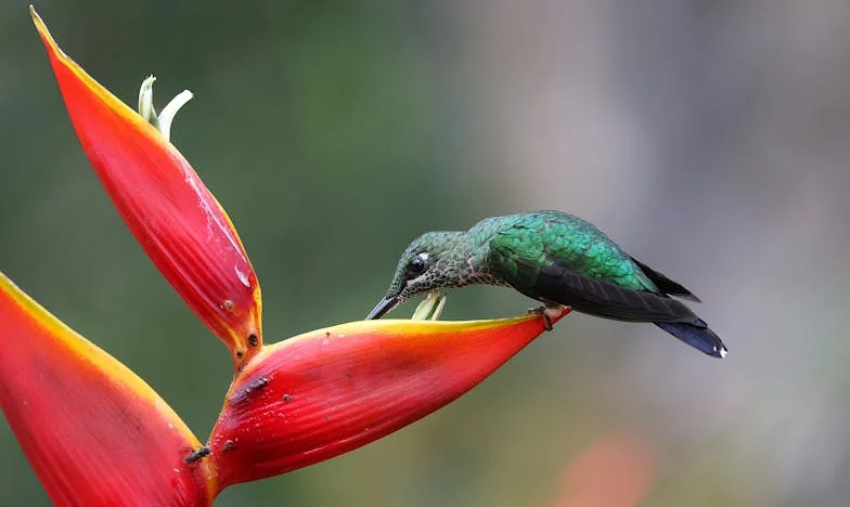 Cizí v jednom bytě: Příběh matky a dcery, které rozdělila bolestná minulost