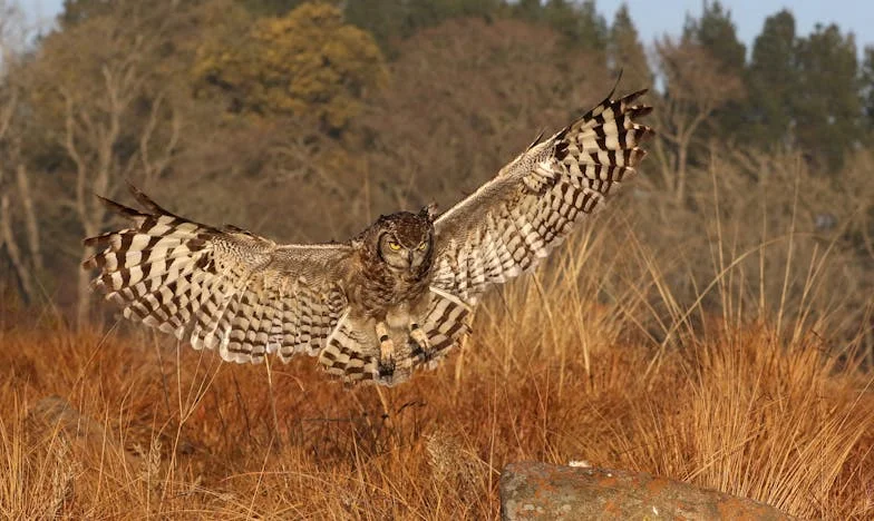 Dům, který měl být domovem: Příběh ztracených nadějí na českém venkově