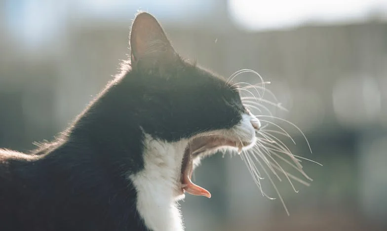 Když dcera, která nikdy nechtěla děti, přišla domů s prosbou o pomoc