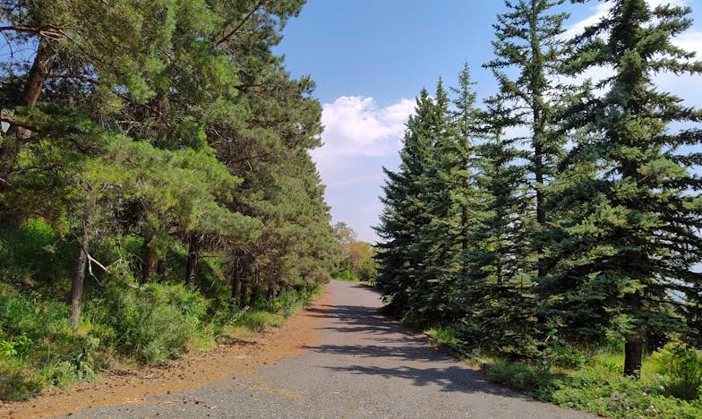 Když láska nestačí: Příběh o Michałovi, mamince a mně