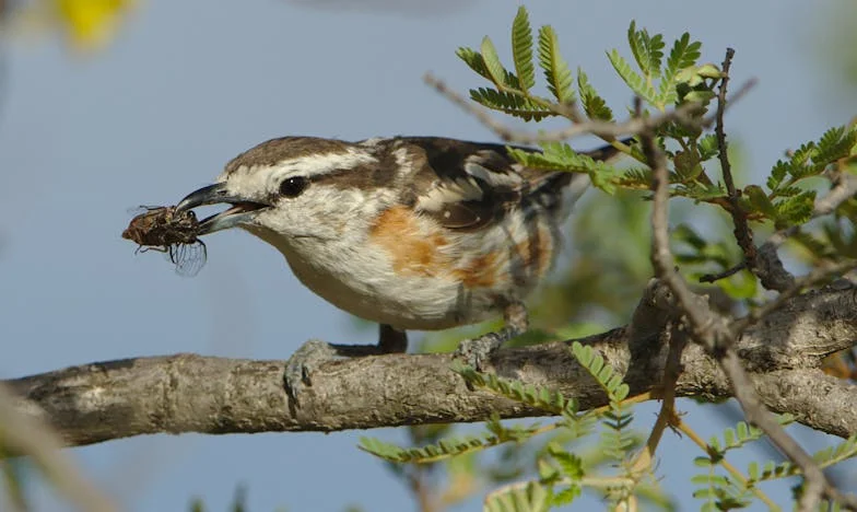 Když manžel odmítá odejít od matky: Příběh o ztraceném domově a zlomeném srdci