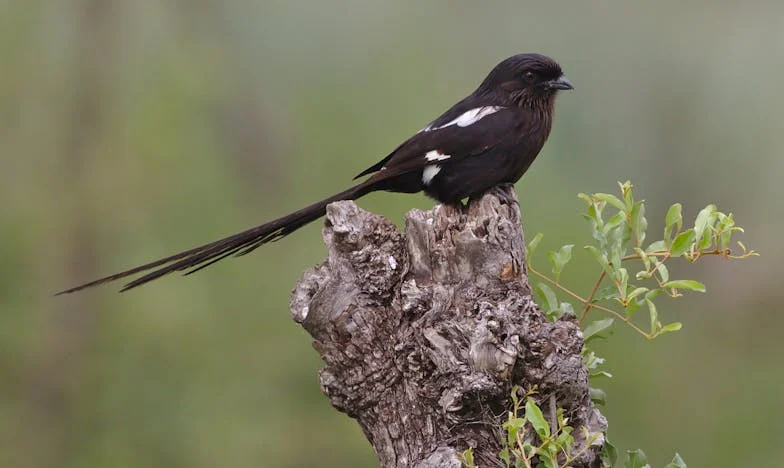 Když se vlastní rodina obrátí proti mně: Příběh o zradě, mateřství a odvaze postavit se blízkým