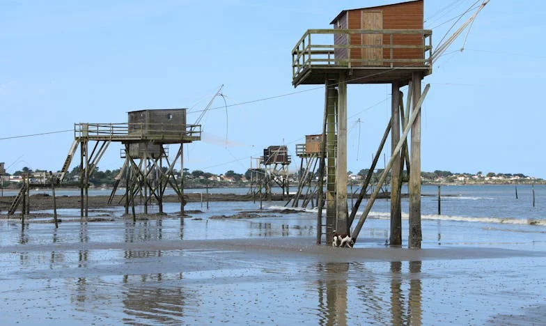 Když se ztrácím v matčině stínu: Příběh jedné dcery