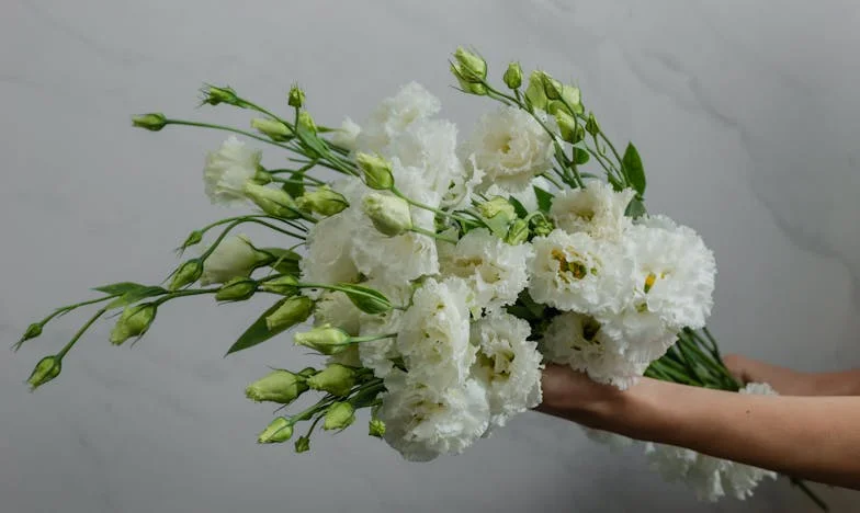 Když vám vlastní rodina rozbije auto (a srdce)