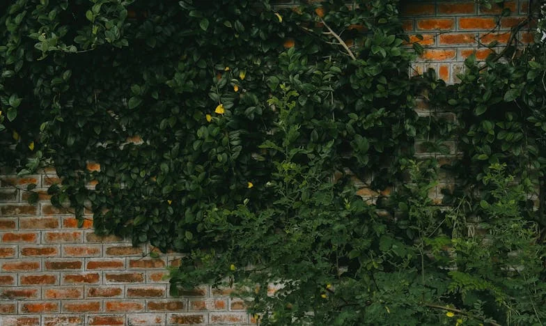 Mezi dvěma světy: Jak jsem musela rozhodnout o tátově stáří