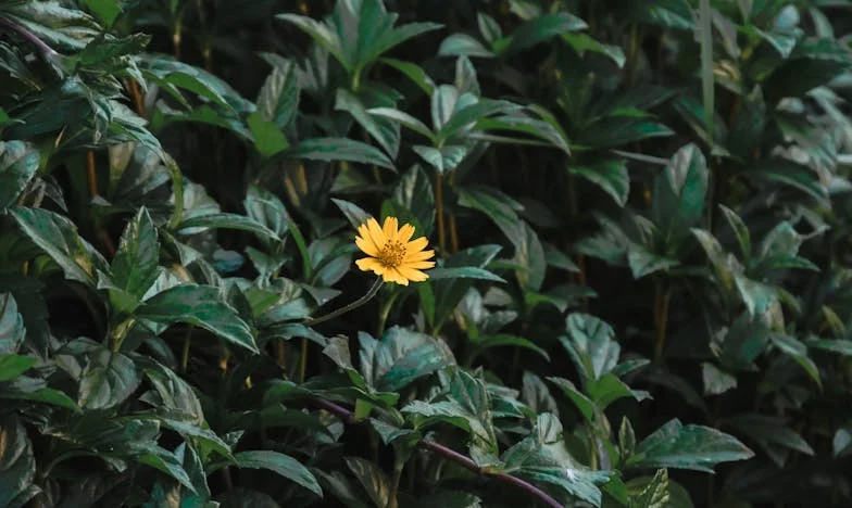 Moje dítě prodává polovinu bytu: Kam teď patřím?