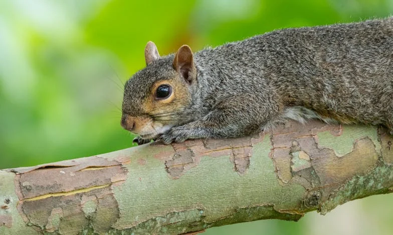 „Neříkejte mi, jak mám žít.“ Příběh matky, která musela pustit svého syna do světa